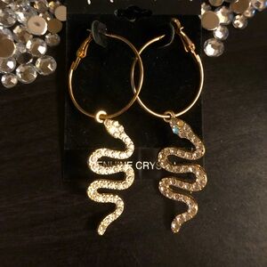 “Snake Eyes” Blinged out Hoop Earrings